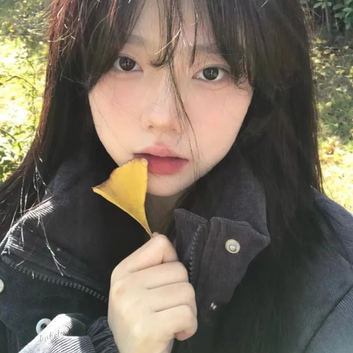 古宅老友记第四季